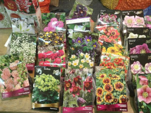 Весенняя флора 2017: акции и распродажи семян, саженцев, садовых фигурок и техники
